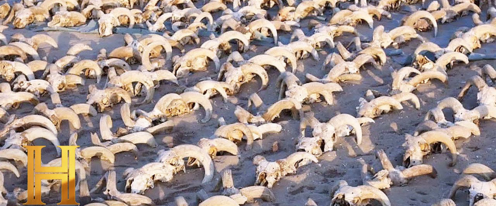 The UnBelievable: 2,000 MUMMIFIED SKULLS Found in Egypt (Season 1)