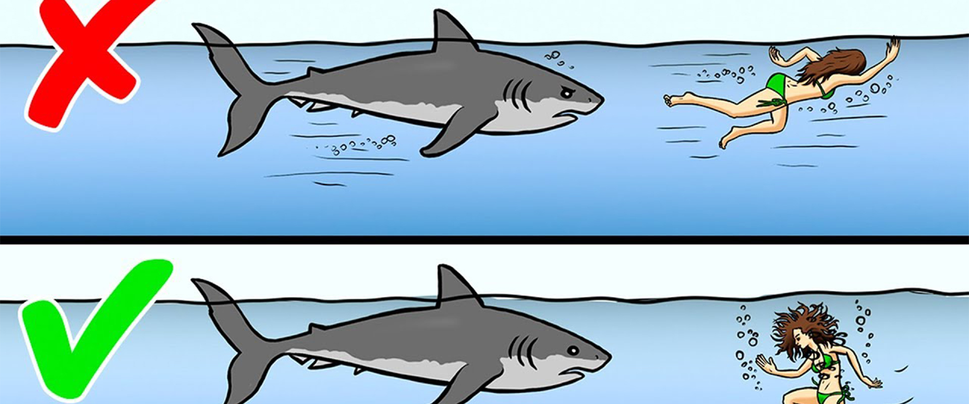 13 Tips on How to Survive Wild Animal Attacks