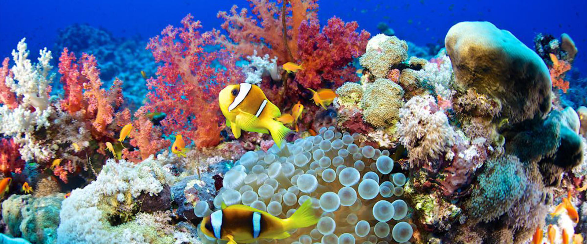 Simulating an Ocean for 100 Days